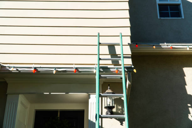 Best Custom Trim and Detailing for Siding  in Lexington, OH